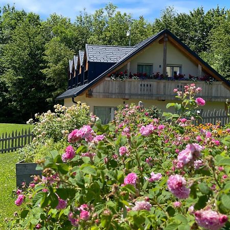 Loft Naturalpina Dolomiti Farm Belluno Luaran gambar