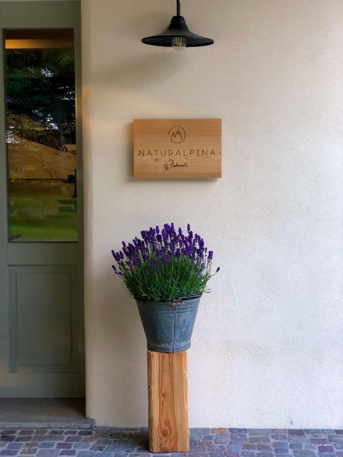 Loft Naturalpina Dolomiti Farm Belluno Luaran gambar