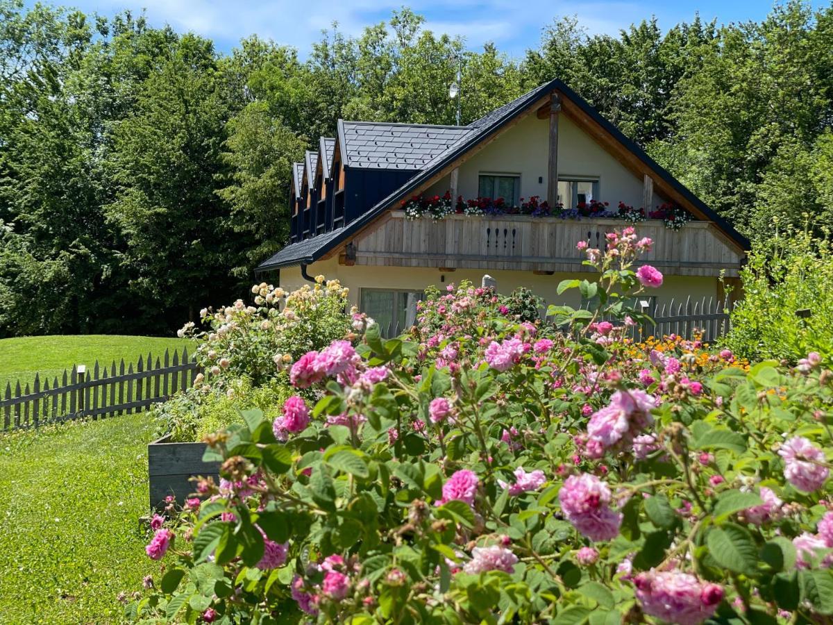 Loft Naturalpina Dolomiti Farm Belluno Luaran gambar
